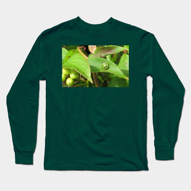 Stink Bug Green No.1 Long Sleeve T-Shirt by MaryLinH